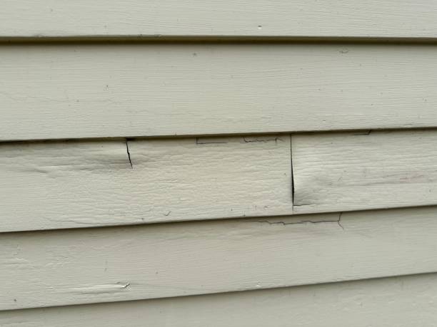 Siding for Commercial Buildings in Shelbyville, IL